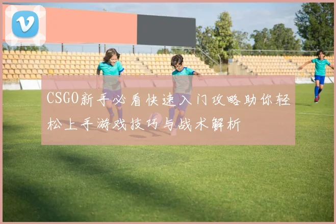 CSGO新手必看快速入门攻略助你轻松上手游戏技巧与战术解析