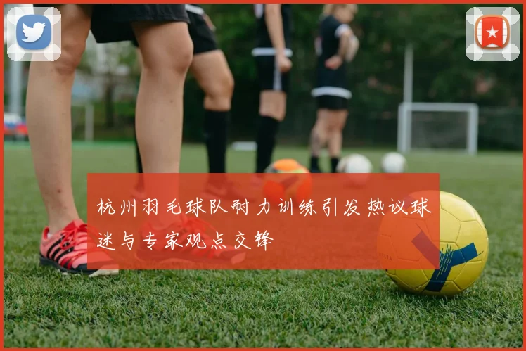 杭州羽毛球队耐力训练引发热议球迷与专家观点交锋