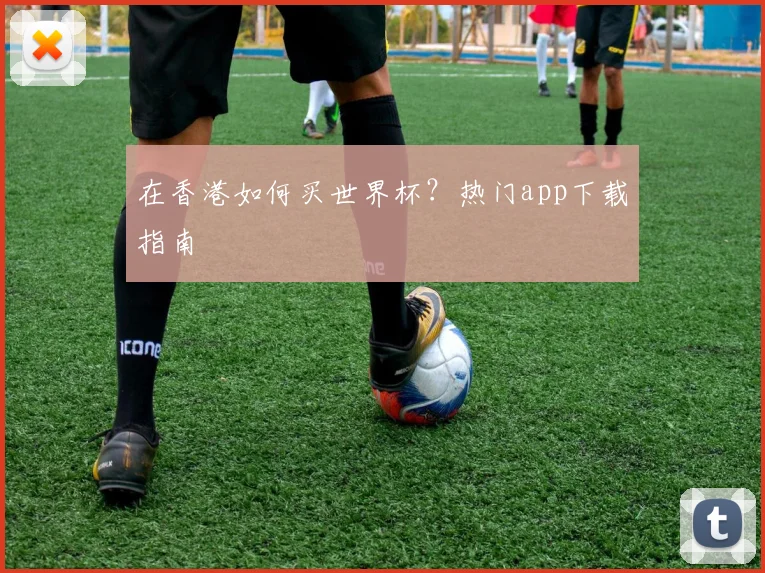 在香港如何买世界杯？热门app下载指南
