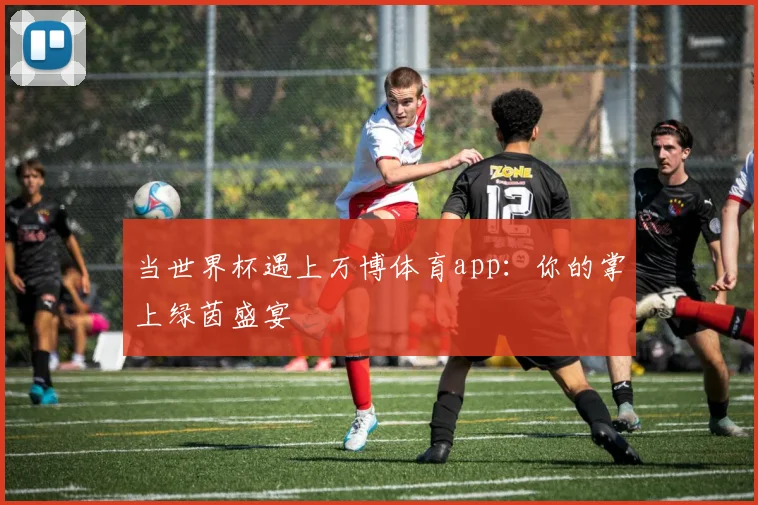 当世界杯遇上万博体育app:你的掌上绿茵盛宴