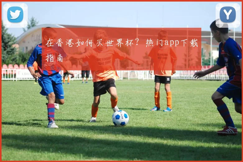 在香港如何买世界杯？热门app下载指南
