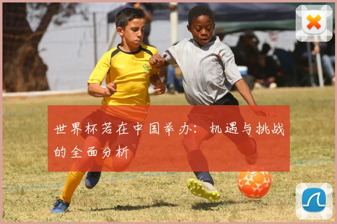 世界杯若在中国举办：机遇与挑战的全面分析