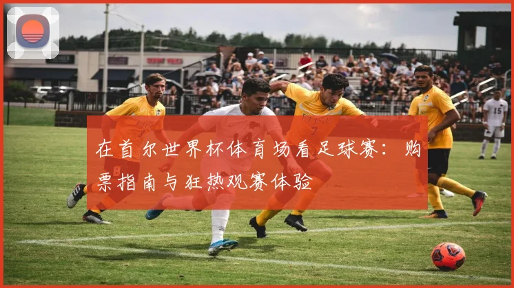 在首尔世界杯体育场看足球赛：购票指南与狂热观赛体验