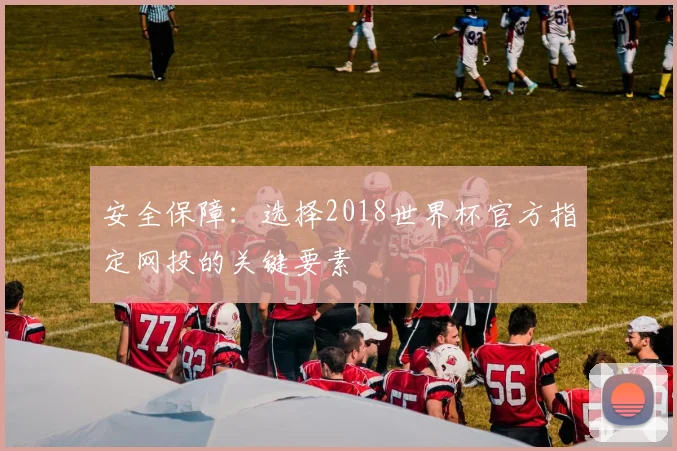 安全保障:选择2018世界杯官方指定网投的关键要素