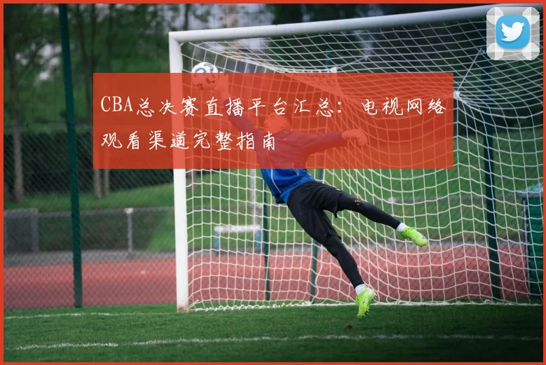 CBA总决赛直播平台汇总：电视网络观看渠道完整指南