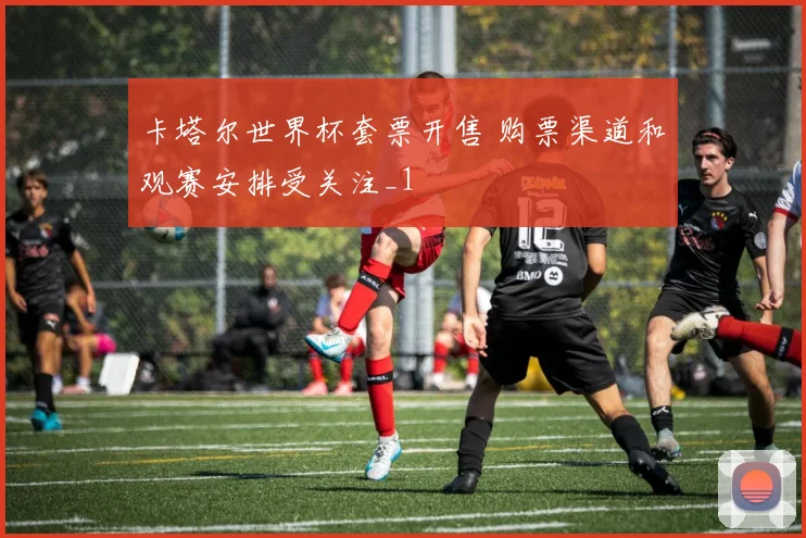 卡塔尔世界杯套票开售 购票渠道和观赛安排受关注_1