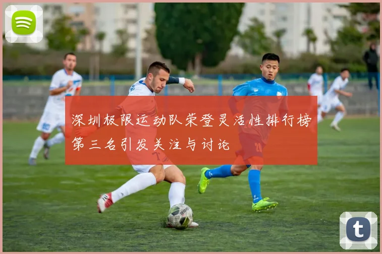 深圳极限运动队荣登灵活性排行榜第三名引发关注与讨论