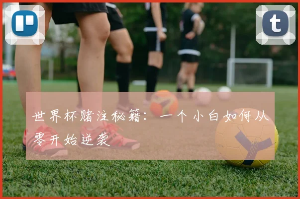 世界杯赌注秘籍:一个小白如何从零开始逆袭