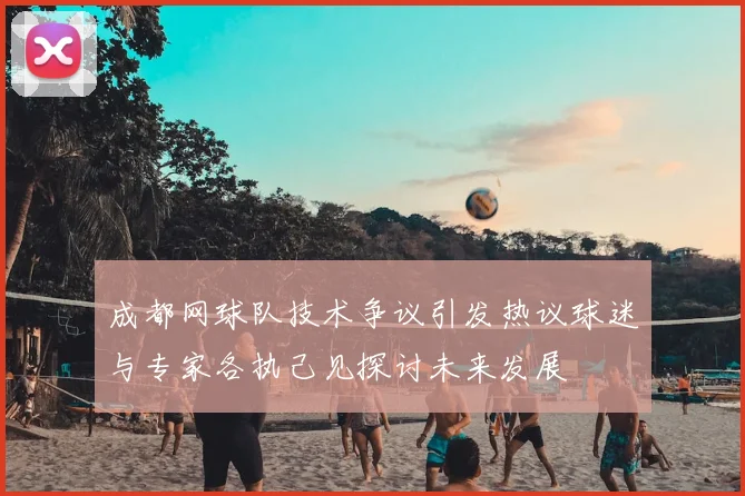 成都网球队技术争议引发热议球迷与专家各执己见探讨未来发展