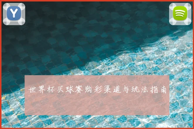 世界杯买球赛购彩渠道与玩法指南