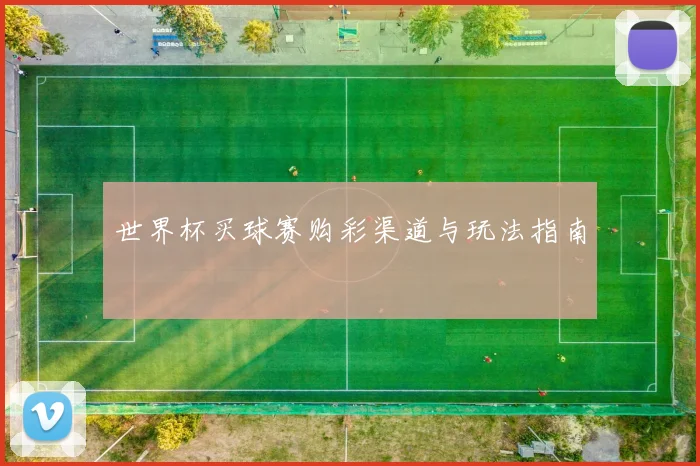 世界杯买球赛购彩渠道与玩法指南
