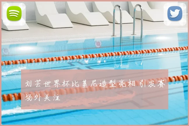 刘芸世界杯比基尼造型亮相 引发赛场外关注