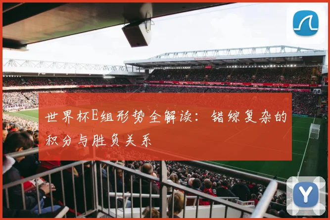 世界杯E组形势全解读：错综复杂的积分与胜负关系