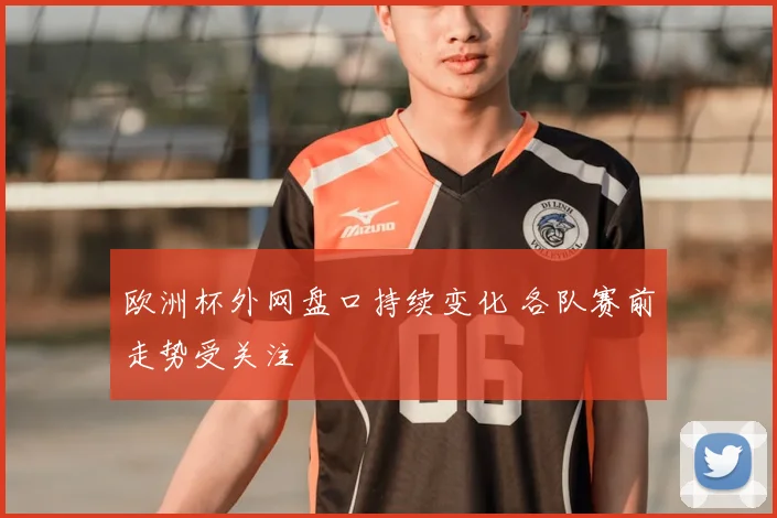 欧洲杯外网盘口持续变化 各队赛前走势受关注