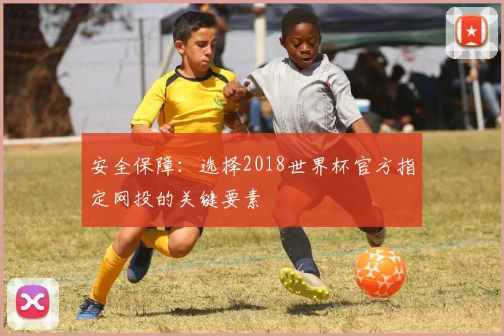安全保障:选择2018世界杯官方指定网投的关键要素