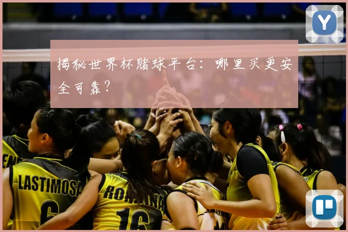 揭秘世界杯赌球平台：哪里买更安全可靠？